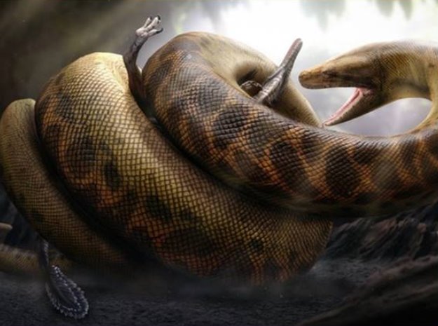 Chiêm bao thấy rắn khổng lồ đuổi theo